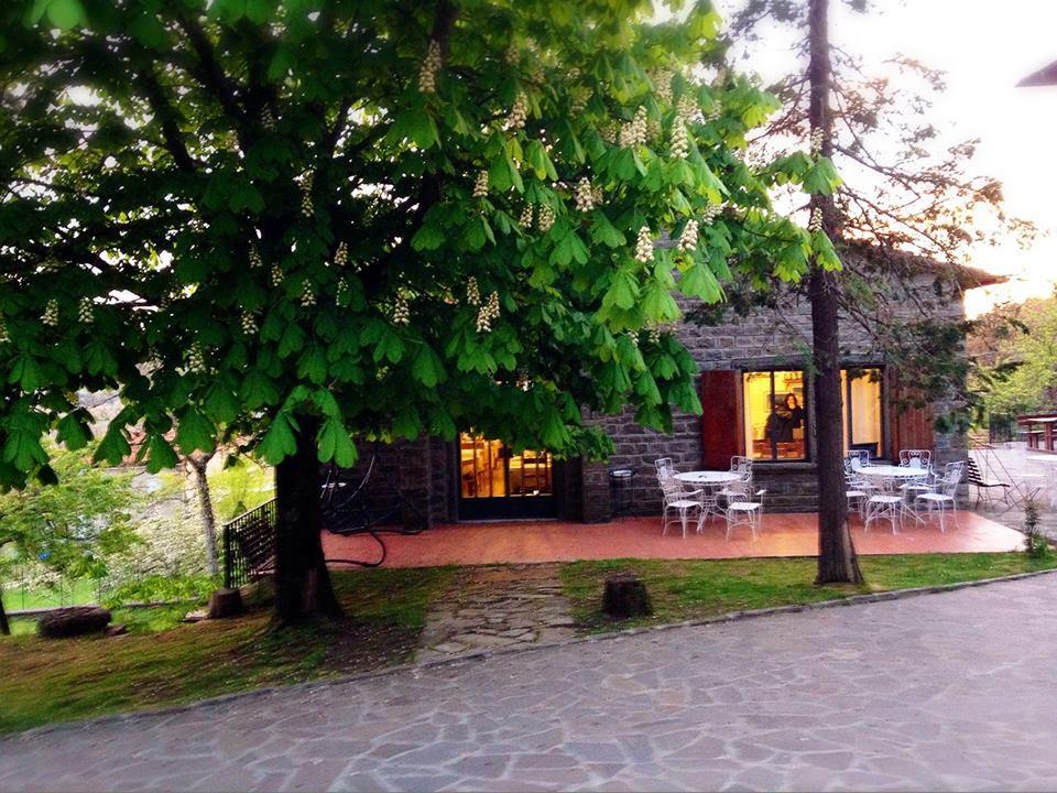 Albergo Ristorante Letizia Chiusi della Verna Exteriér fotografie
